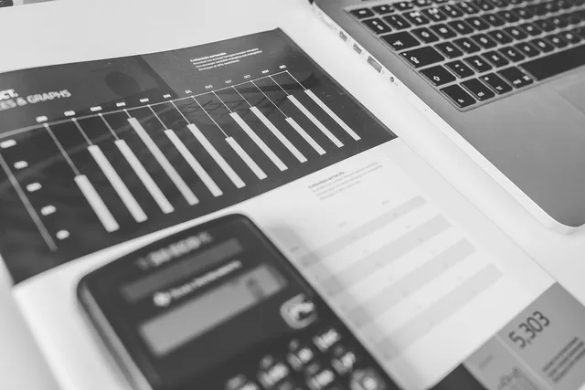 calculator, numbers, accounting, charts, graphs, finance, macbook, laptop, computer, technology, gray computer, gray technology, gray laptop, gray finance, gray numbers, gray accounting, accounting, accounting, accounting, accounting, accounting, finance. Seven criteria for assessing customer success software providers